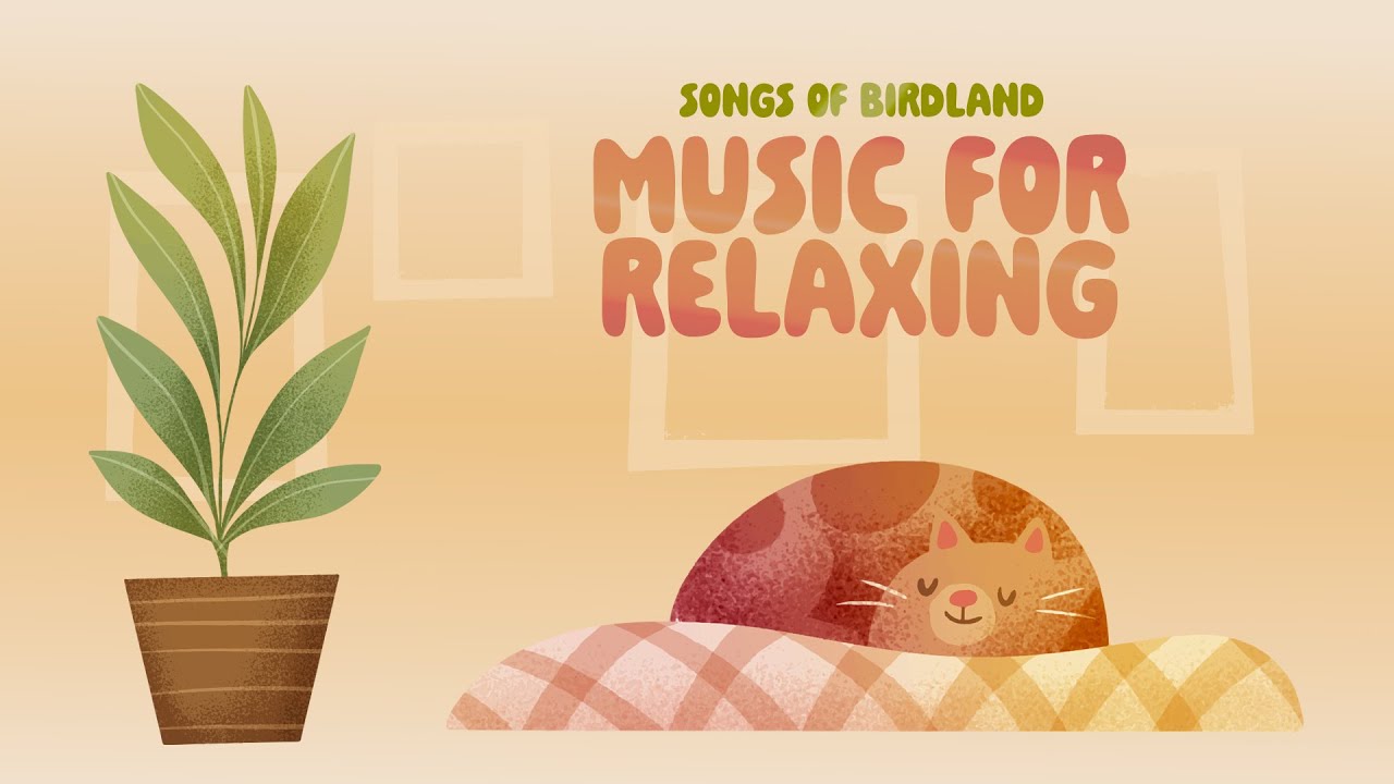 Relaxing Classical Music for Sleep 🐾🎶