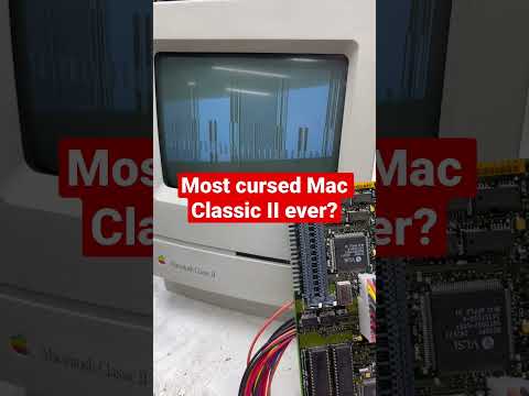 This Mac Classic II is very cursed. Can I fix it? #vintagecomputing #cursed