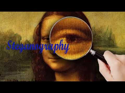 Information Hiding & Steganography in Security