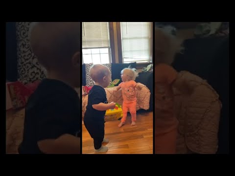 Babies Fight Over Toys || ViralHog