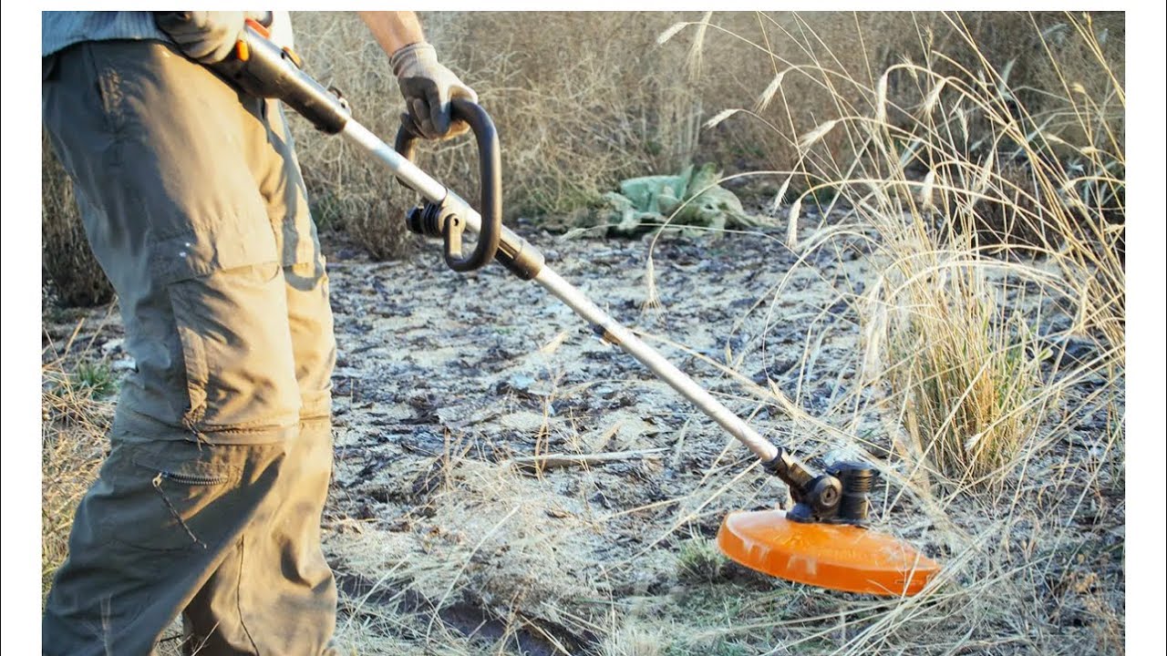 Unlock Hidden Features with This Weedeater Hack! 🔧