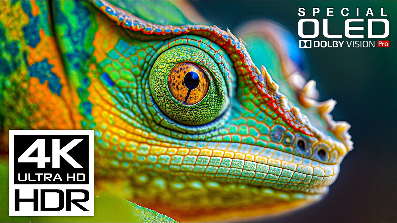 Most Stunning HDR Video in 4K Ultra HD with Dolby Vision | 60 fps