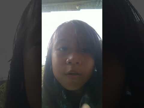 akuadalah_T-rex14🦖🦕