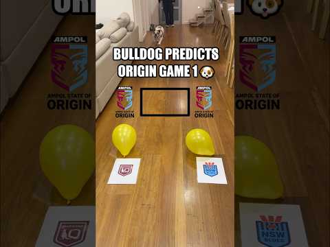 BULLDOG PREDICTS STATE OF ORIGIN 2025 GAME 1 ๐ถ๐๐ต๐ด๐ฎโ