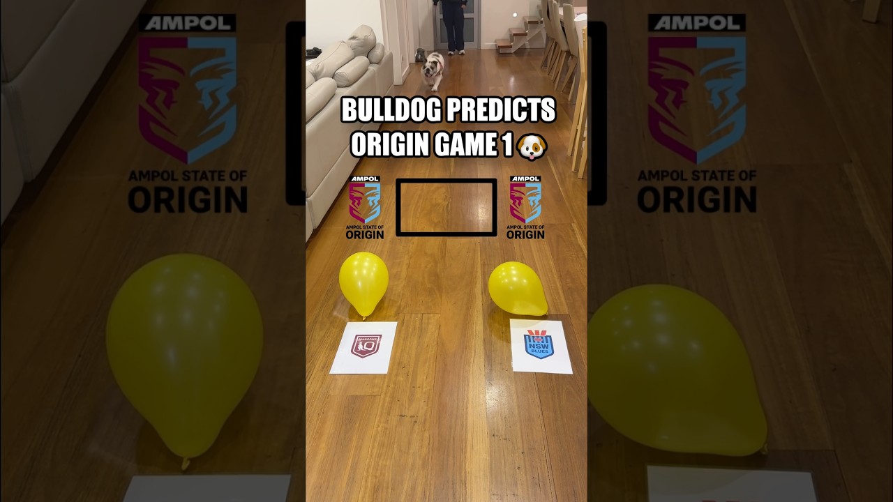 Bulldog's Bold Prediction for State of Origin 2025 Game 1 🏉