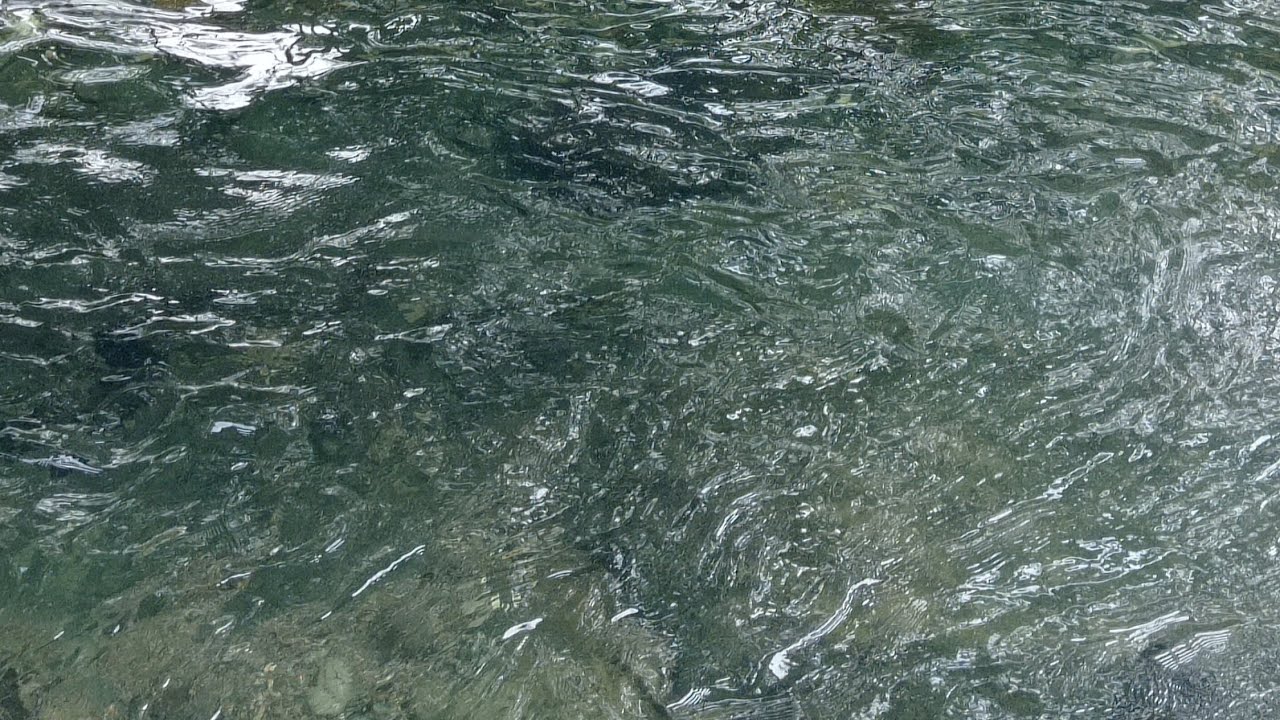 Sagip - Jan Roberts (Lyric Visualizer) 🎶