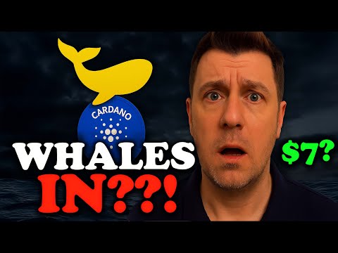 Cardano Whales Know Something Big - What are they not telling you...