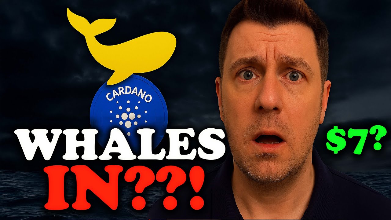 Cardano Whales Are Accumulating: What They’re Not Telling You 🐋