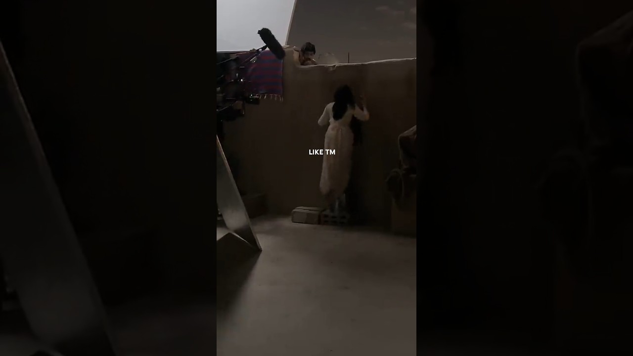 شارع الأعشى: مشهد السطح 😄