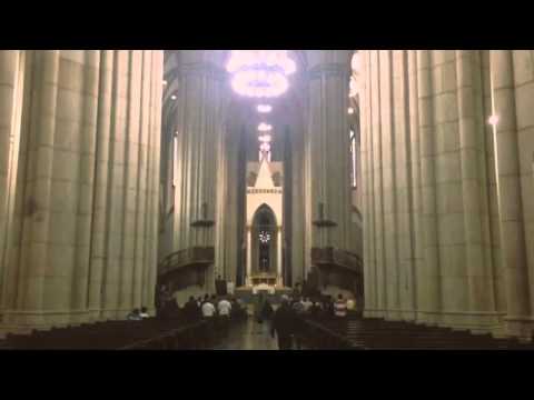 Sao Paulo, Brazil เซาเปาโล บราซิล