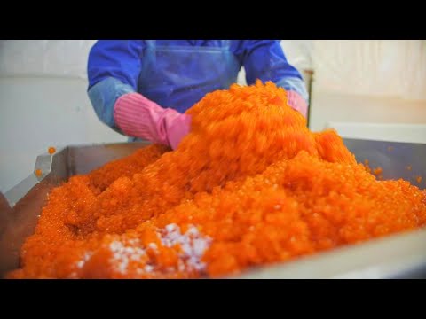 How It's Made: Caviar