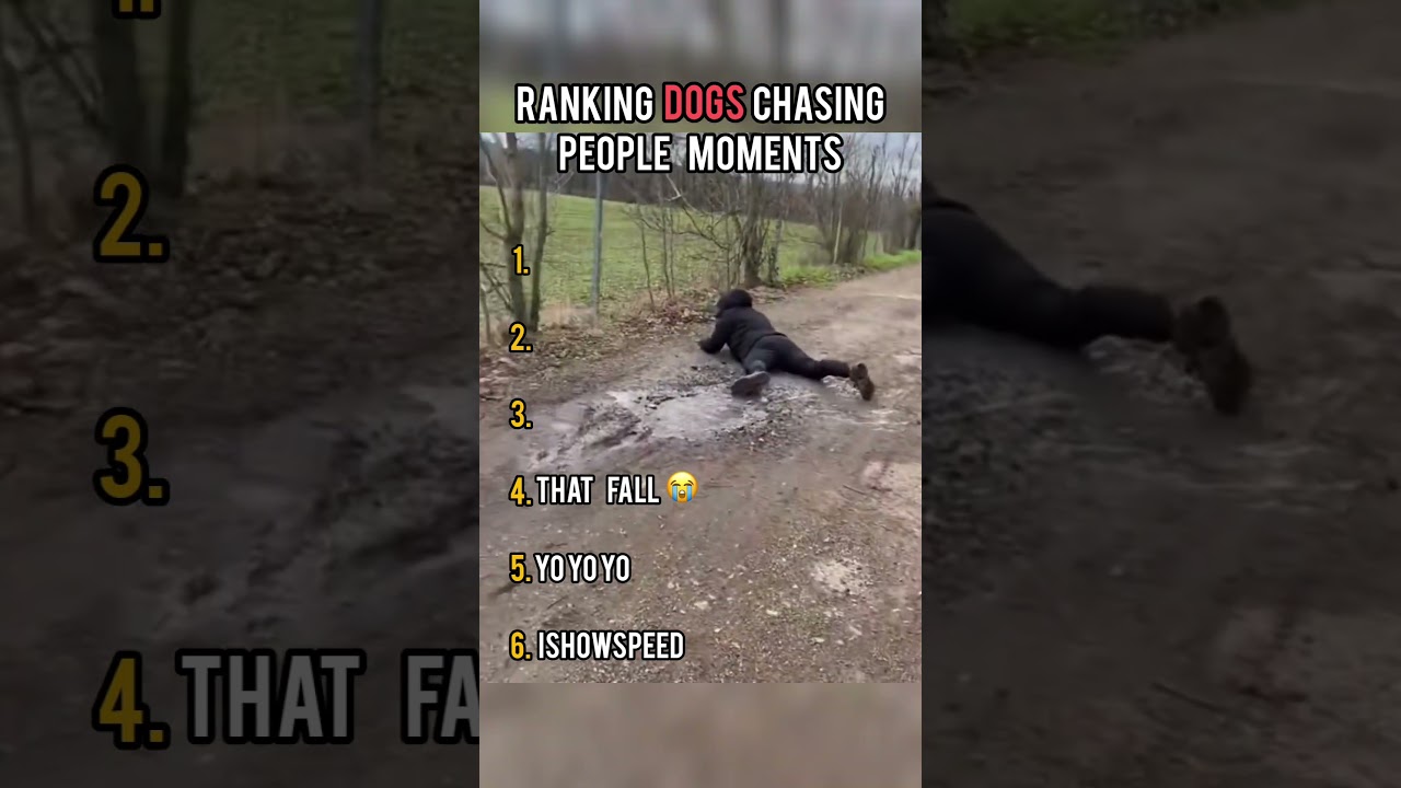 Top Dog Chase Moments 😂🐶