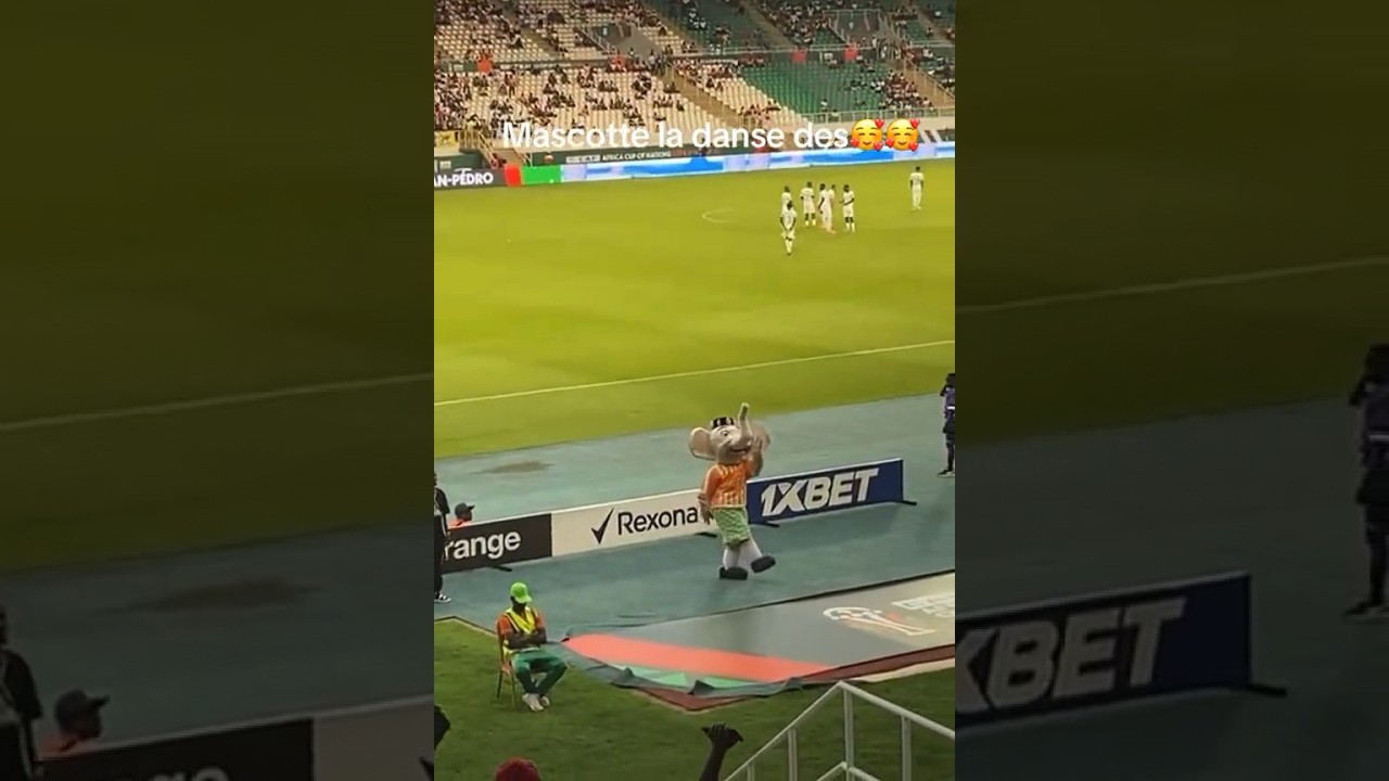 Mascotte CAN 2023 danse le coup du marteau 😂