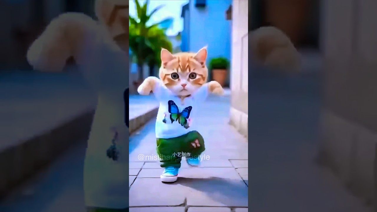 Adorable Dancing Cat Shares Heartwarming Moments with Dad and Baby 🥰