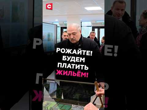 Лукашенко: Рожайте и мы вам заплатим! ЖИЛЬЁМ! #беларусь #лукашенко #президент