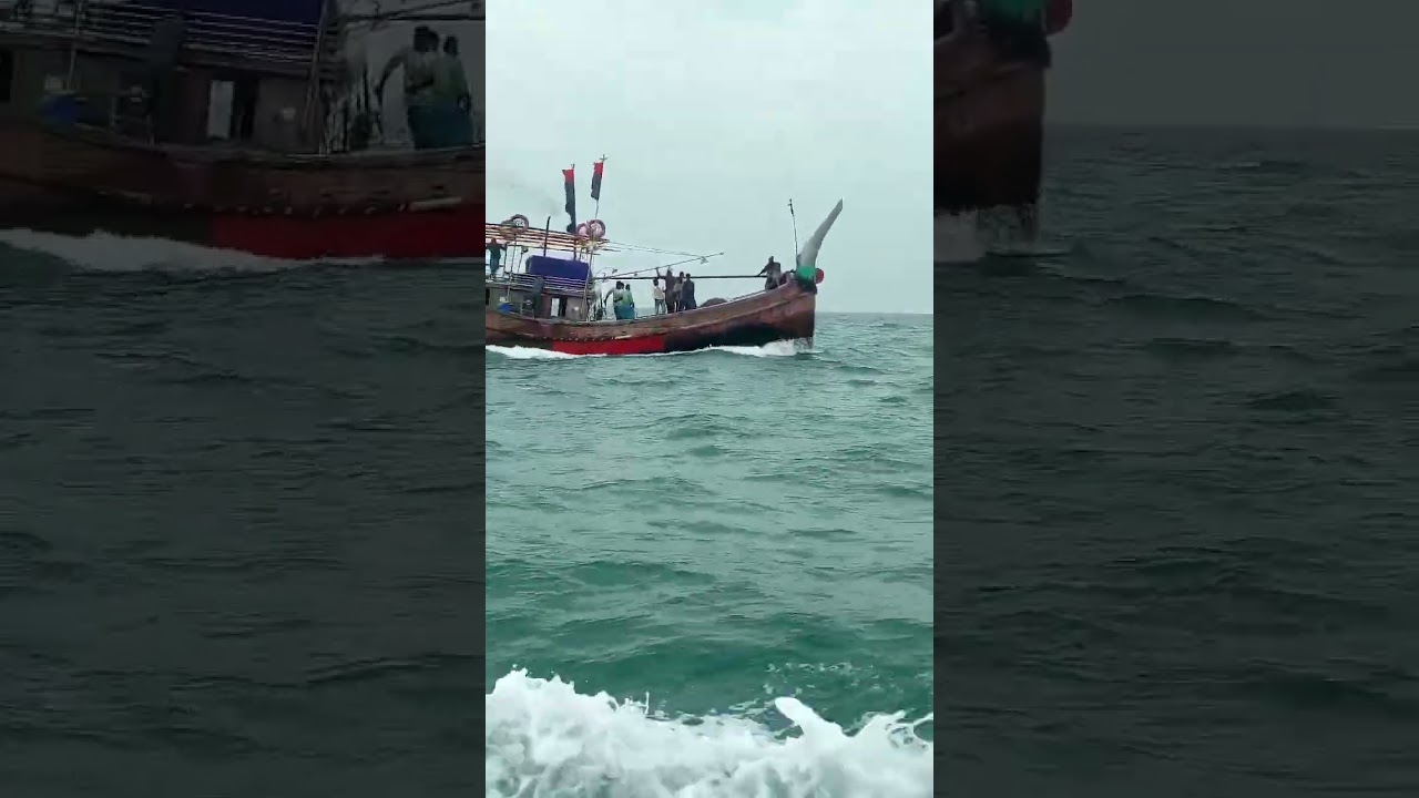 Fishing Trailer 🎣 | Shorts & Entertainment