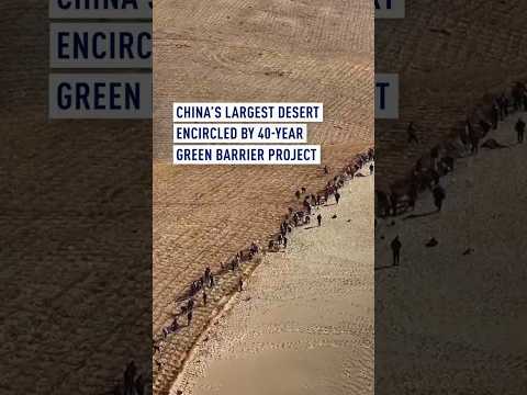 China's largest desert encircled by 40-year green barrier project