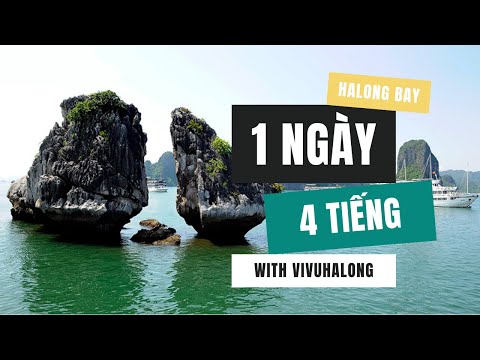 [ 4 tiếng ] Tour thăm Vịnh Hạ Long - 1 ngày