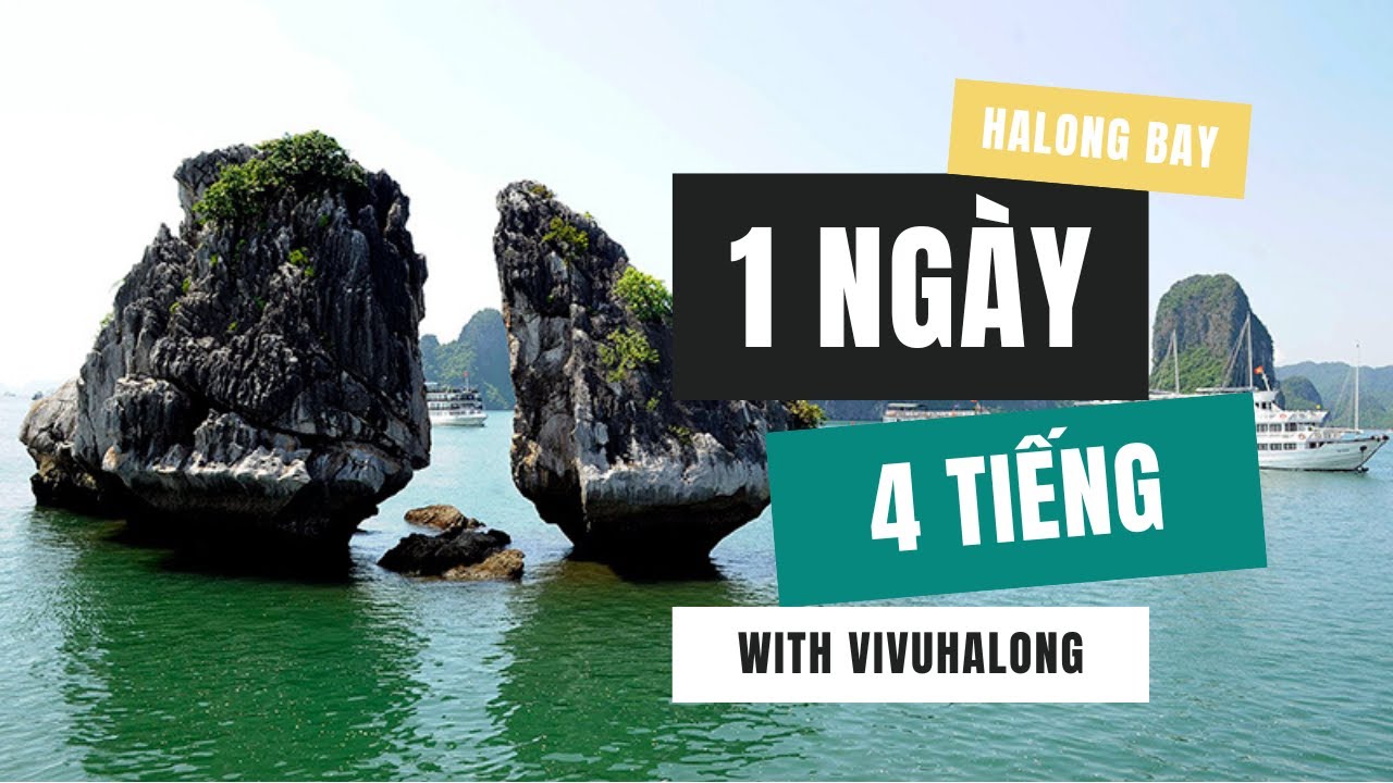 Khám Phá Vịnh Hạ Long Trong 4 Giờ – Tour Tham Quan Nổi Tiếng Nhất 🚤