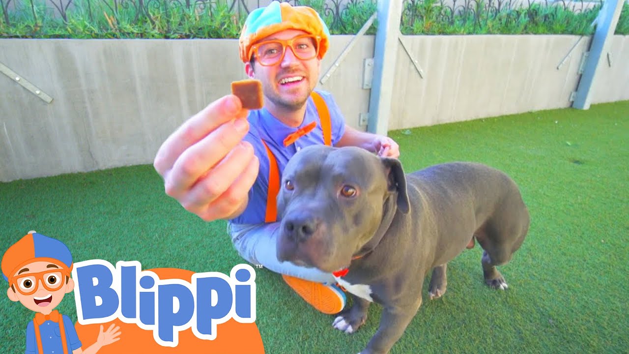 Blippi Explores Animals at the Shelter 🐾