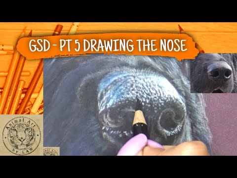 How to Draw a Realistic Dog Nose - Colored Pencil Tutorial
