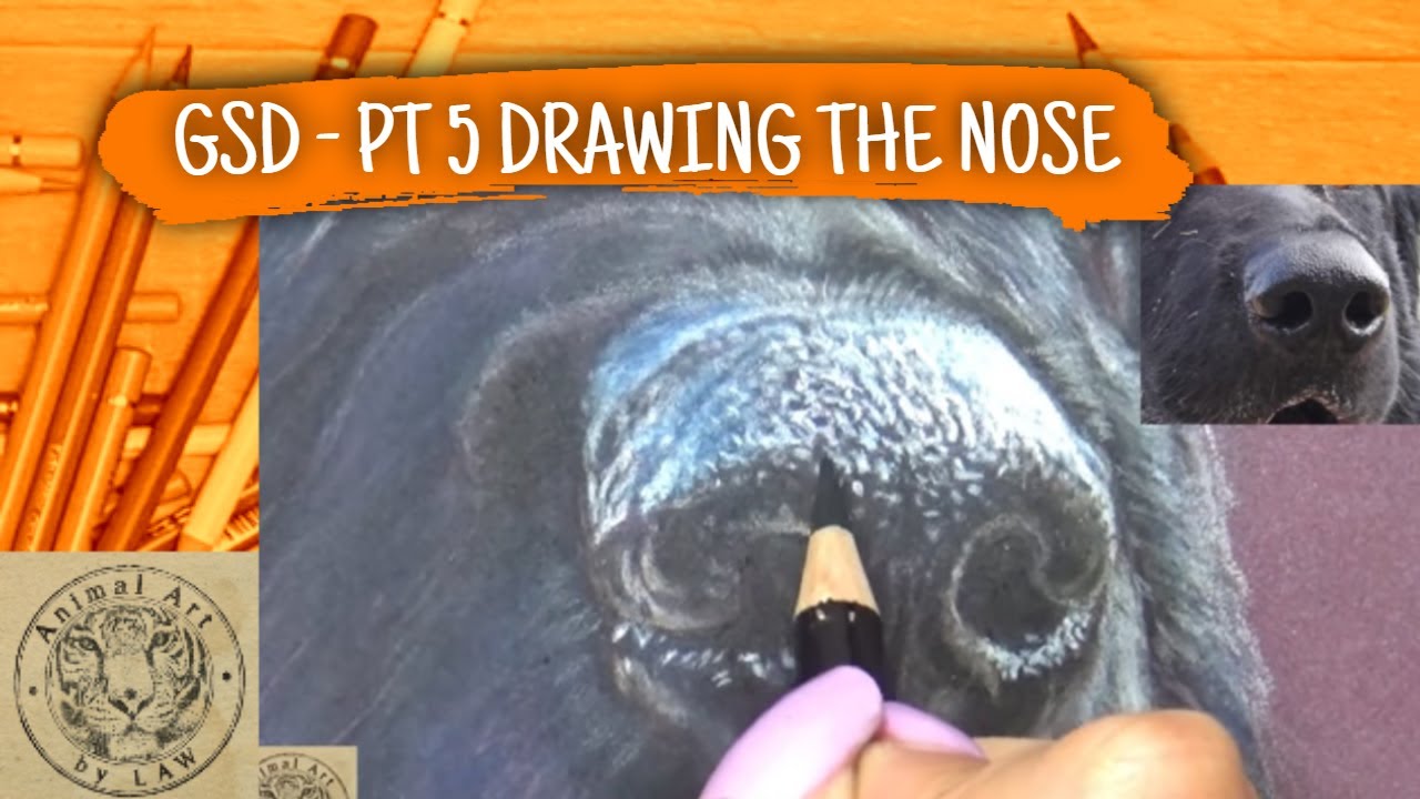 Colored Pencil Tutorial: Drawing a Realistic German Shepherd Dog Nose