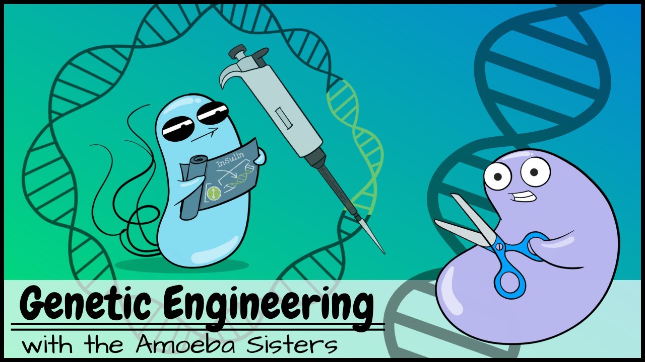 Intro to Genetic Engineering 🧬