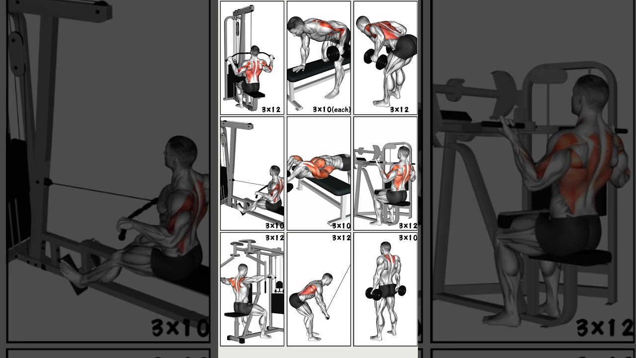 9 Effective Back Workouts to Transform Your Upper Body 💪