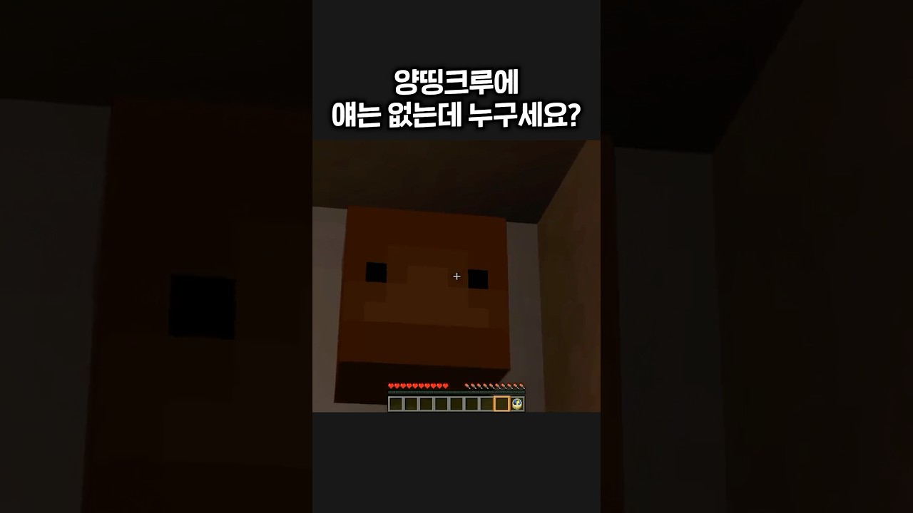 양띵과 함께하는 마인크래프트 🎮