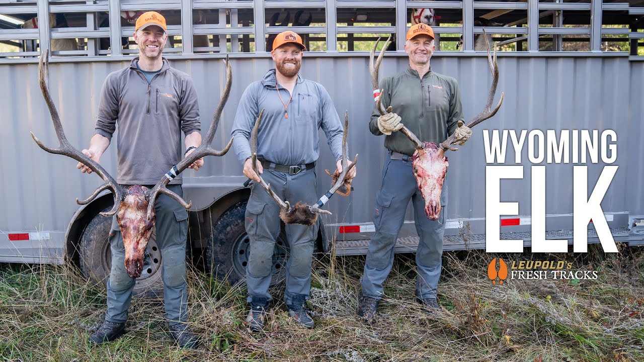 3 Epic Wyoming Backcountry Elk Hunt: 3 Bull Elk in One Trip! π¦