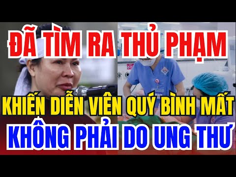 👉 Chấn Động: Đã Tìm Ra Thủ Phạm, Khiến Diễn Viên Quý Bình Mất, Không Phải Do Ung Thư 😱⚖️
