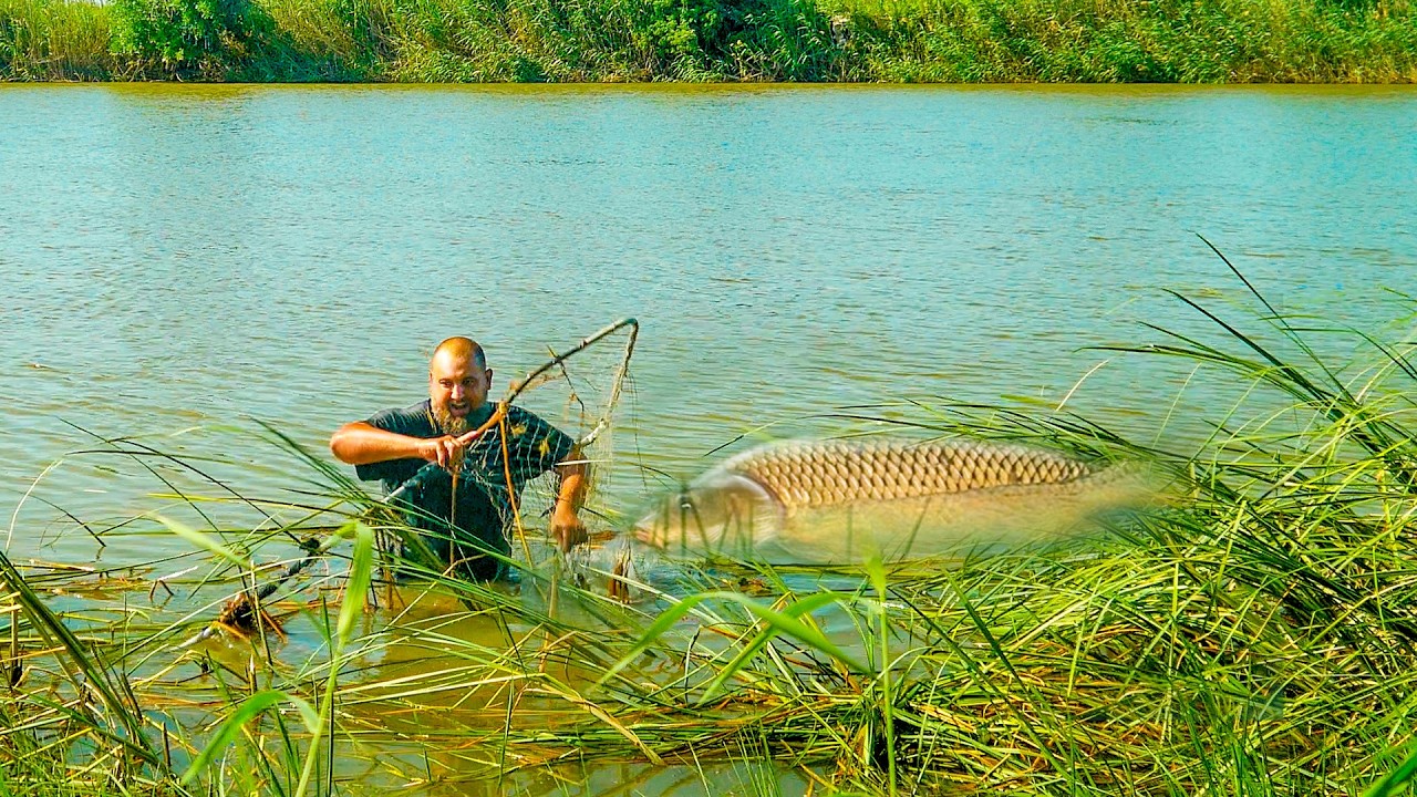Большой сазан тащит меня в Камыши! 🎣