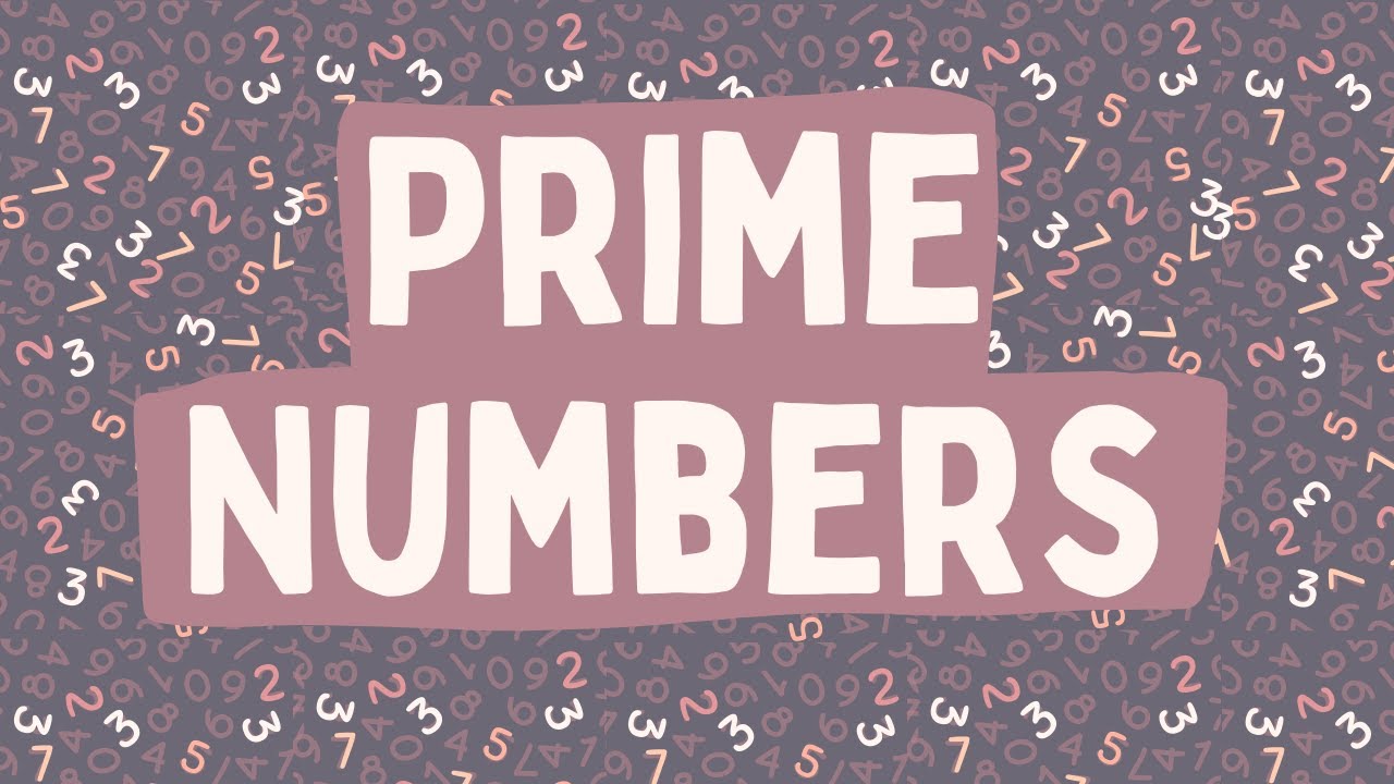 Prime Numbers Made Easy: Learn How to Identify Them 🔢