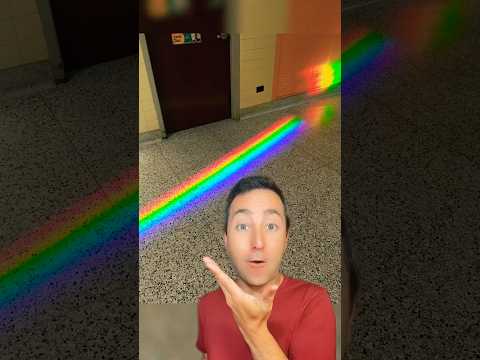 The Most Satisfying Things Seen at School