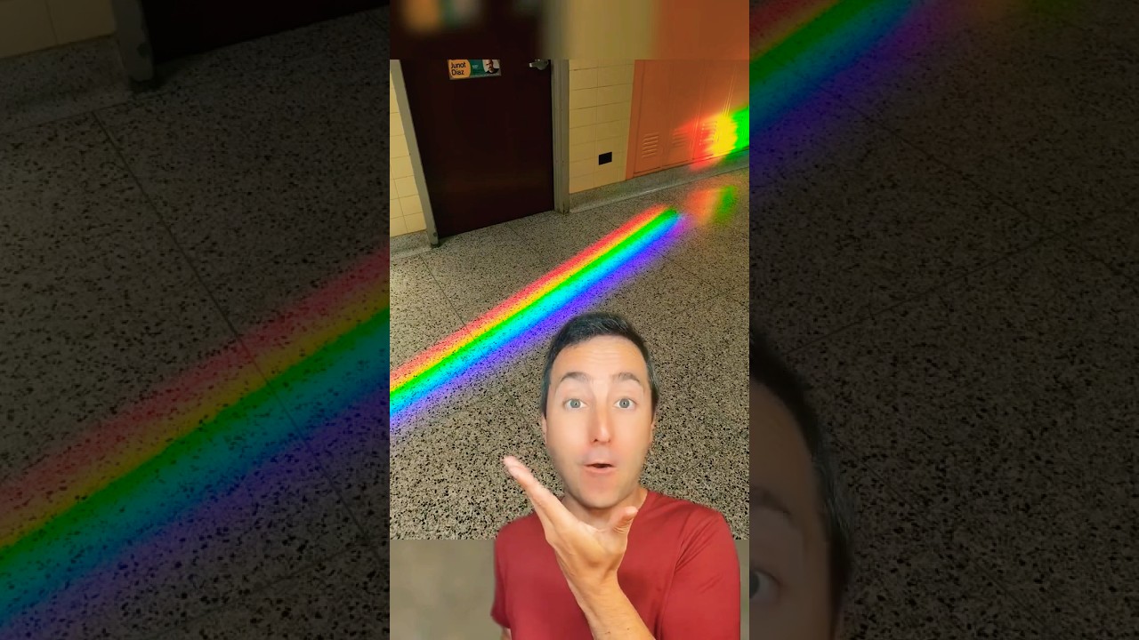 The Most Satisfying Things Seen at School