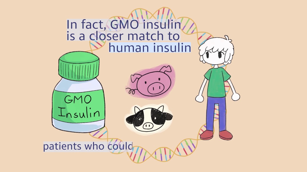 Insulin: The GMO Breakthrough in Medicine 💉