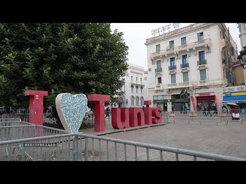 MEDITERRANEO – Tunisie retour au pays de membres de la diaspora qui travaillent entre deux rives