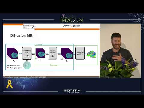 IMVC 2024 - Tomer Weiss, Technion / Computational Imaging