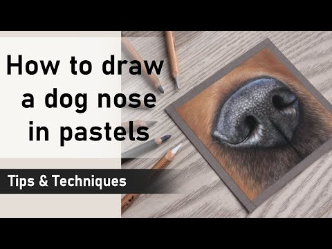 HOW TO DRAW A DOG NOSE IN PASTELS | Pastel Tips & Techniques