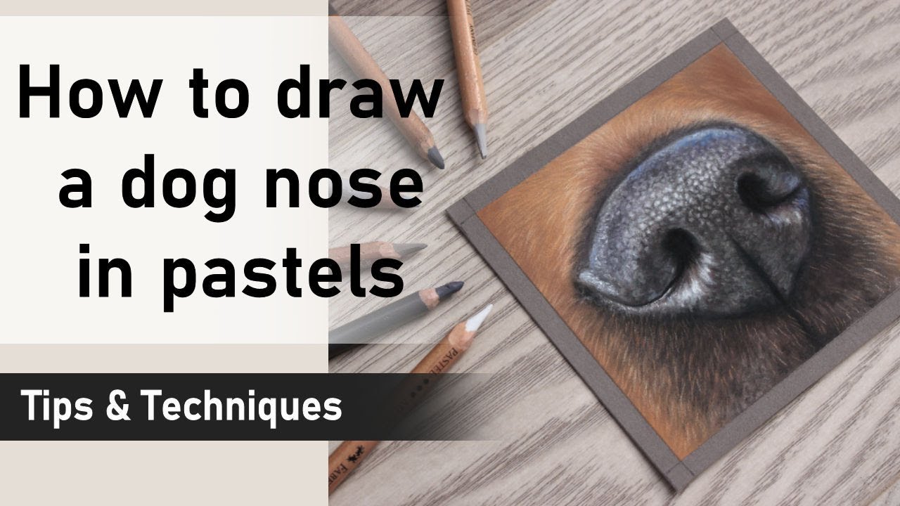 How to Draw a Dog Nose in Pastels | Tips and Techniques