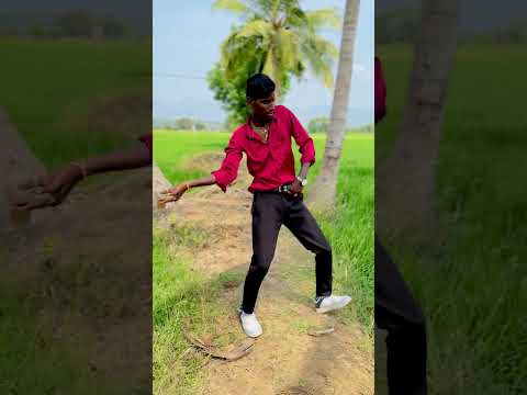 Pushpa 2 chaistep 😍 #chaistep