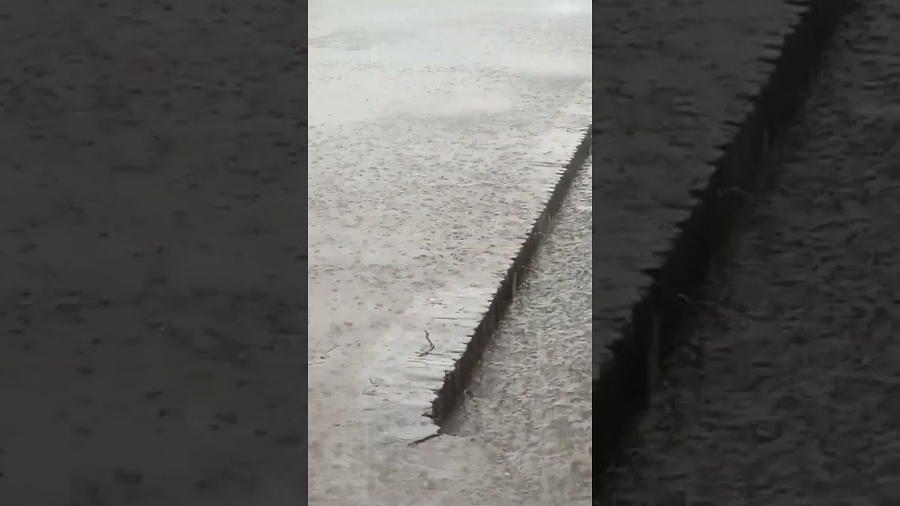 এমন দিনে তারে বলা যায়, ঘন বরষায় 💭