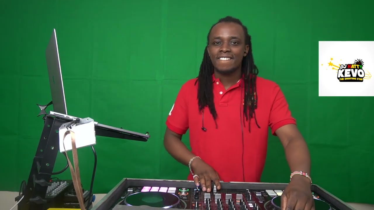 Reggae Mix 2025: 2010s One Drop Riddims 🎶