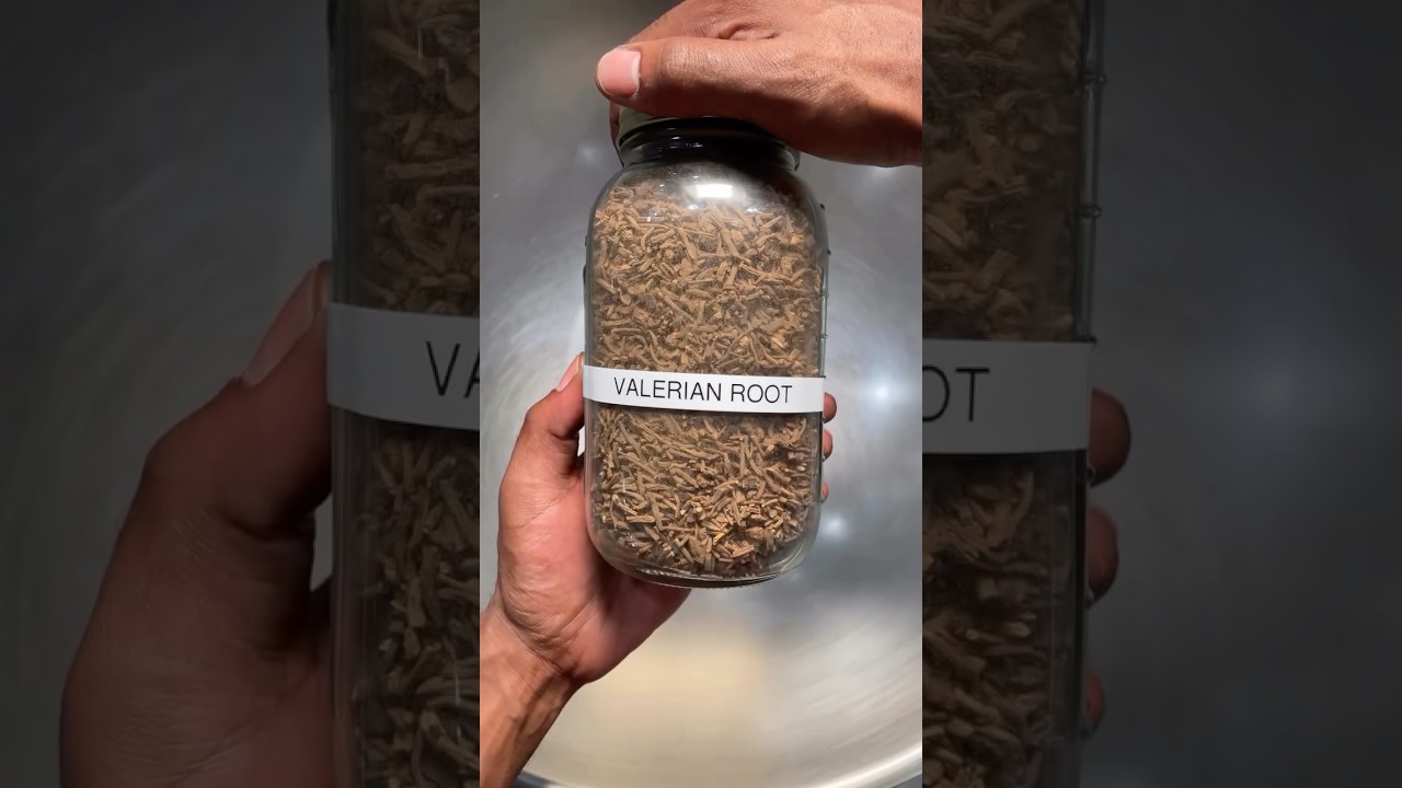 Valerian Root: Herb for Sleep & Anxiety 😴