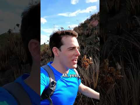 Trekking to the Chocolate Hills in Bohol, Philippines 🇵🇭
