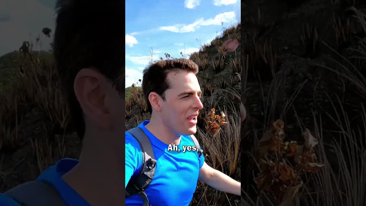 Personal Trek to the Chocolate Hills in Bohol, Philippines