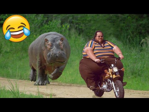 TRY NOT TO LAUGH π Best Funny Videos Compilation πππ Memes PART 2