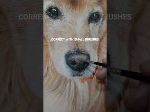 Realistic painting of a dog nose step by step
