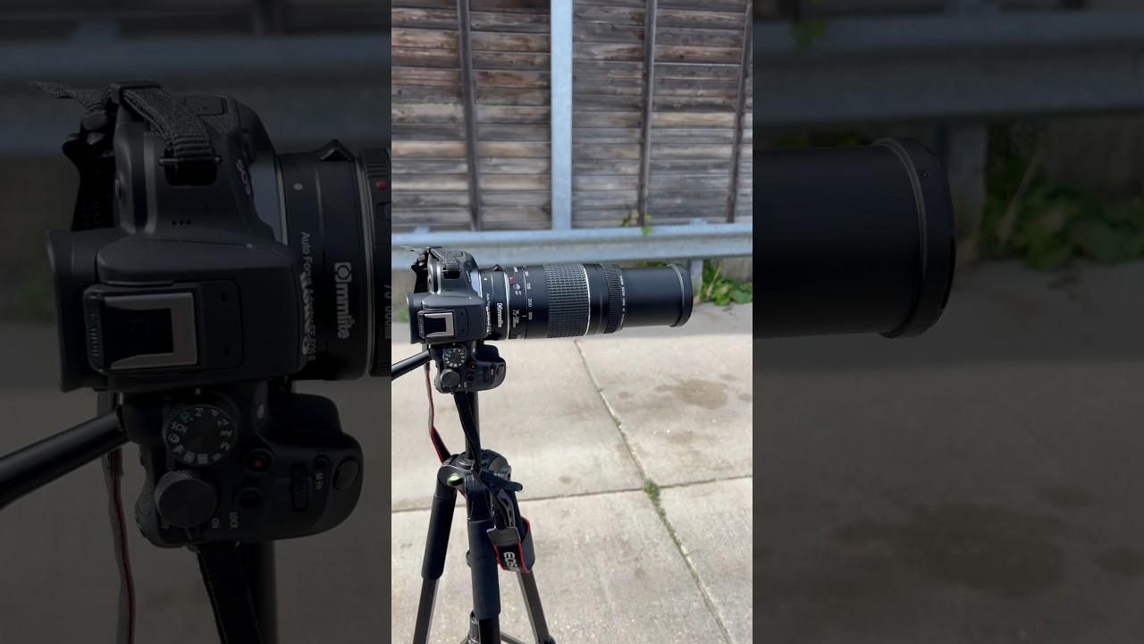 Review of the Canon 75-300mm Lens: A Surprising Value