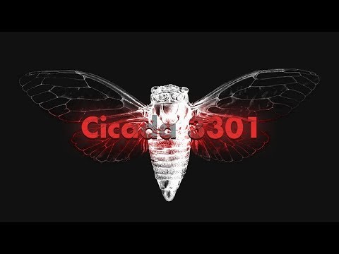 Cicada 3301 mystery